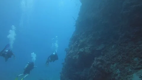 Group of scuba divers diving alongside coral reef wall on Great Barrier Reef Stock Footage 93768348