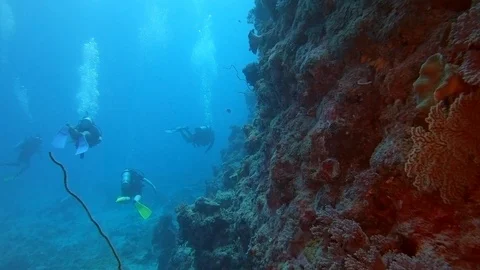 Group of scuba divers diving alongside coral reef wall on Great Barrier Reef Stock Footage 93769987
