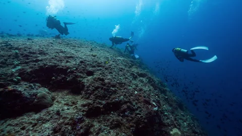 Group of SCUBA Divers drifting in strong current towards deep reef Stock Footage 344060615