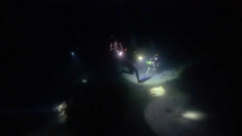 Group of scuba divers exploring deep dark ocean with flashlights Stock-Footage 80437884