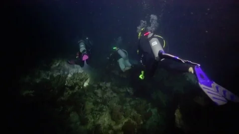 Group of scuba divers exploring deep dark ocean with flashlights 스톡 동영상 80437964