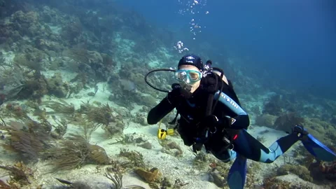 Group of scuba divers exploring ocean depths near bottom. Stock Footage 235002204