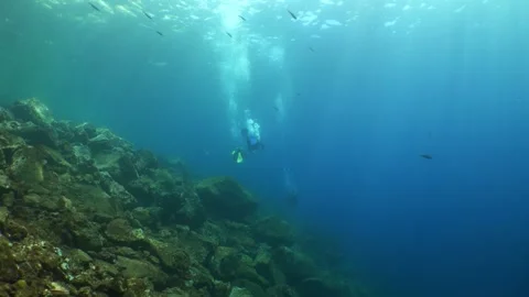 Group of Scuba Divers Exploring Reef 库存影片 340057206