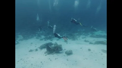 Group of scuba divers exploring the sandy seabed near a beautiful coral reef in 스톡 동영상 335816843