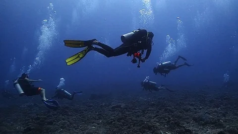 A group of scuba divers Stock Footage 120237577