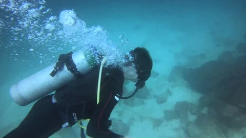 Group Of Scuba Divers Swim in Deep Blue In Ocean, Galapagos Stock Footage 108337949
