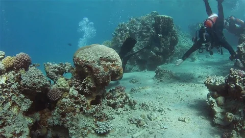 Group of scuba divers swimming between corals at coral reef Stock Footage 125862111