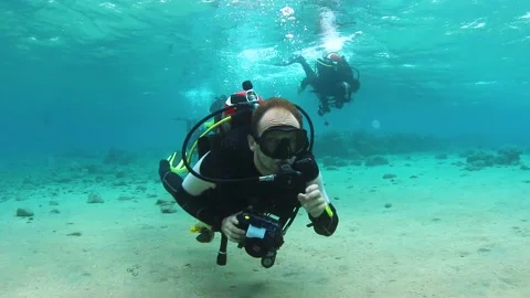 Group of scuba divers swimming between corals at coral reef Stock Footage 195657414