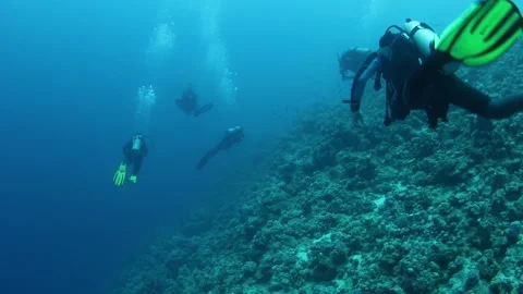 Group of scuba divers swimming between corals at coral reef. Stock Footage 197515698