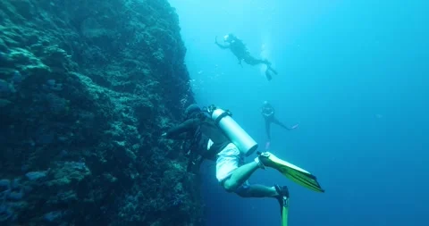 Group of scuba divers swimming between corals at coral reef. Stock Footage 267827217