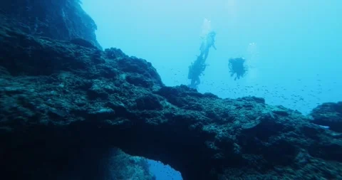 Group of scuba divers swimming between corals at coral reef. Stock Footage 269139247