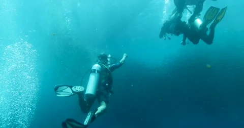 Group of scuba divers swimming between corals at coral reef. Stock Footage 270651277