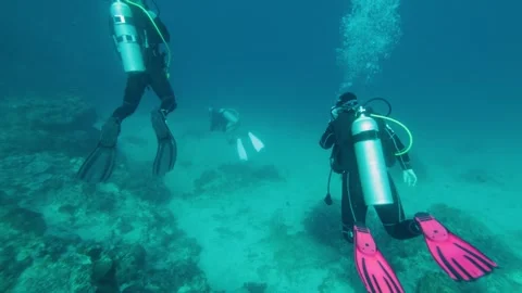 Group of scuba divers swimming between corals at coral reef Stock Footage 344924088