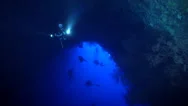Group Of Scuba Divers Swimming On Deep Water Wall And Cavern Tunnel In Palau Stock Footage