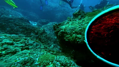 Group Scuba Diving Training and Coral Reef Exploration in Bali Stock Footage 331062023