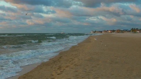 A group of seagulls flies against the wind off the coast Stock Footage 102497557