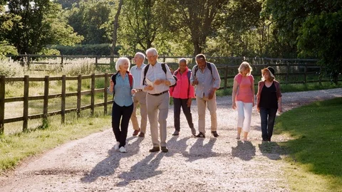 Group Of Senior Friends Hiking In Countryside Together Stock Footage