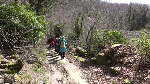 Group of senior hikers walking on path through the woods. Trekking in Lazio, Stock Footage 87814592