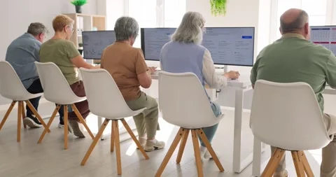 Group of Senior Students at Computer Literacy Course, Back View of Classroom 스톡 동영상 348010785