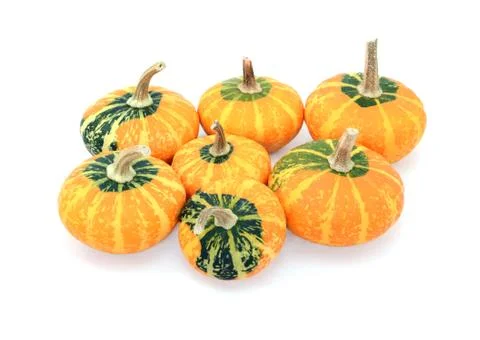 Group of seven small disc-shaped ornamental gourds Stock Photos