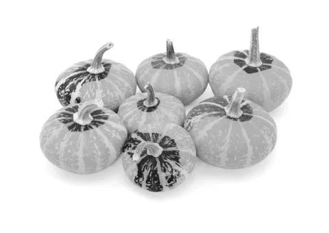 Group of seven small disc-shaped ornamental gourds Stock Photos