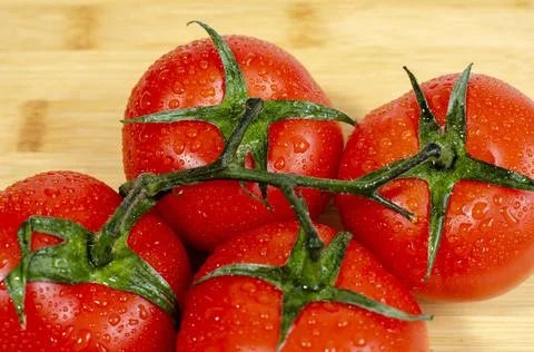 A group of several red tomatoes with moisture drops on a wooden cutting board Stock Photos