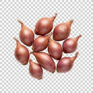 Group of shallots isolated on transparent background, top view. 스톡 사진