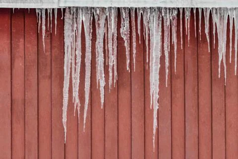 A group of sharp white and red transparent icicles is hanging down from the r Foto stock