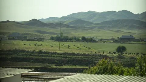 A group of sheep in valley Stock Photos