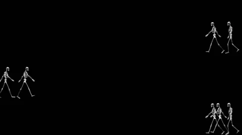 Group of Skeletons Walking in Both Sides on a Black Background Stock Footage 59965645