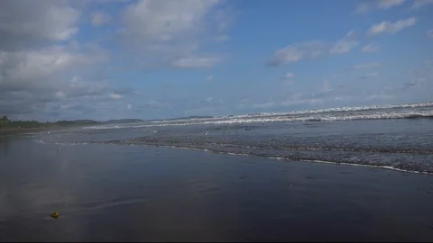 Group Of Small Birds Flying On Beach [Slow Motion] Stock Footage 88873740