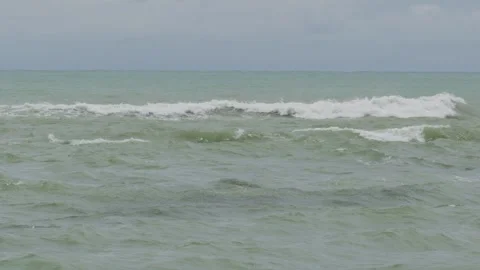 Group of small fish just below surface of the water in the sea Vídeo Stock 238076441