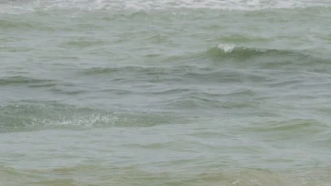 Group of small fish leaping out of the sea water Vidéo 238077478