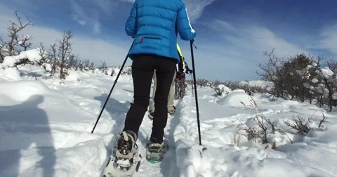 Group of snowshoes, low angle Stock-Footage 62348144