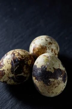Group of some quail eggs on a dark background, top view, close-up, selective Stock Photos