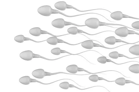 Group of sperms Stock Photos