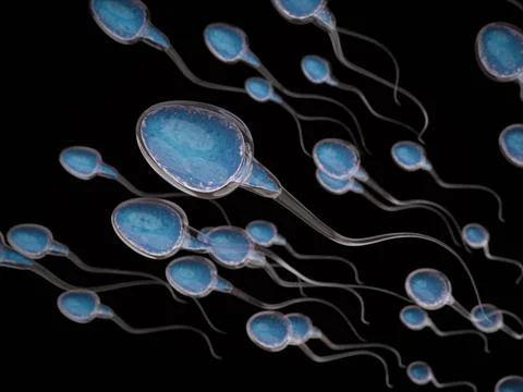 Group of sperms Stock Photos