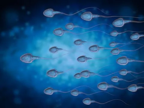 Group of sperms Stock Photos