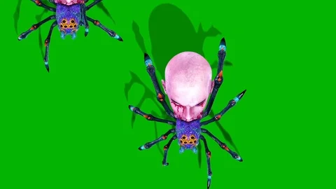 Group of Spider Zombie Walks Top Green Screen 3D Rendering Animation Stock Footage 95140565