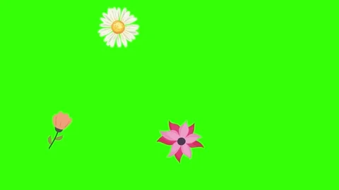 Group of spring flowers animation elements on green screen chroma key Stock Footage 168910867