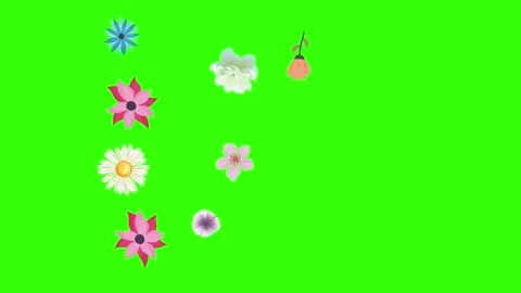 Group of spring flowers animation elements on green screen chroma key Stock Footage 168910874