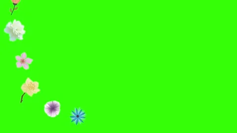 Group of spring flowers animation elements on green screen chroma key Stock Footage 168910875
