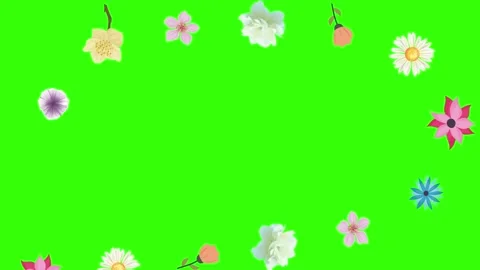Group of spring flowers animation elements on green screen chroma key Stock Footage 168910877
