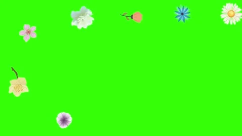 Group of spring flowers animation elements on green screen chroma key Stock Footage 168910882
