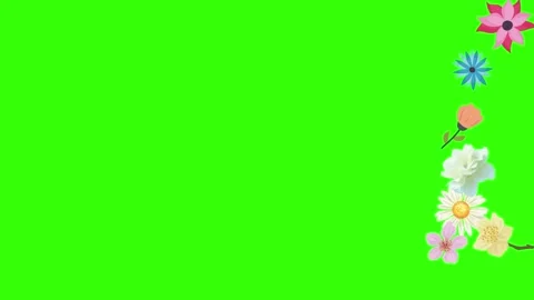 Group of spring flowers animation elements on green screen chroma key Stock Footage 168910884