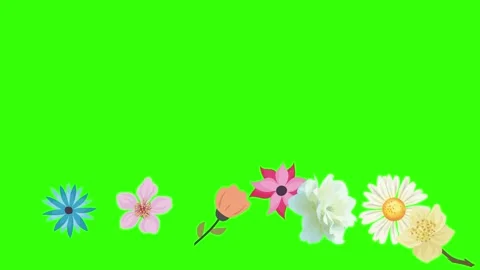 Group of spring flowers animation elements on green screen chroma key Stock Footage 168910887