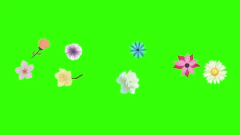 Group of spring flowers animation elements on green screen chroma key Stock Footage 168910888