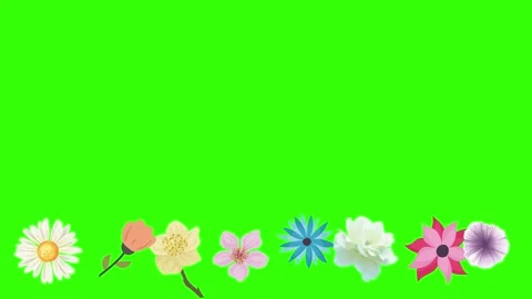 Group of spring flowers animation elements on green screen chroma key Stock Footage 168910889