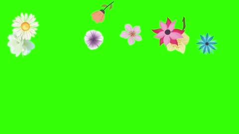 Group of spring flowers animation elements on green screen chroma key Stock Footage 168910891