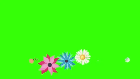 Group of spring flowers animation elements on green screen chroma key Stock Footage 168910896